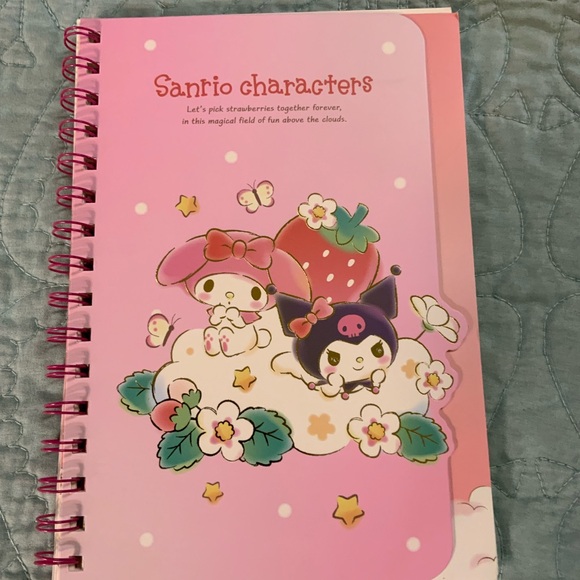 Hello Kitty Other - SALE Set of Sanrio Characters Pink Notebooks SALE